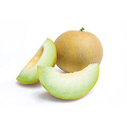 ALASKO - Honeydew (1EA)