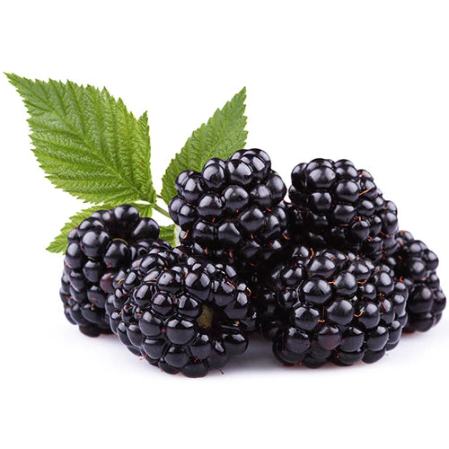 Blackberries (170g)