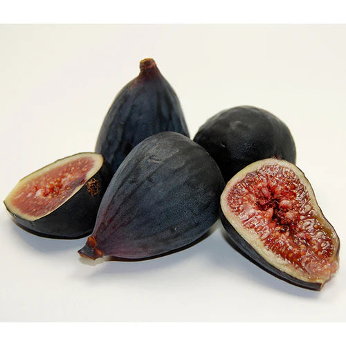 Figs Black Case