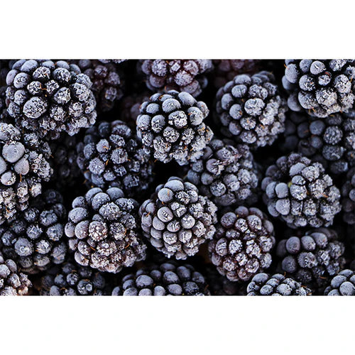 ALASKO - Blackberries (1KG)